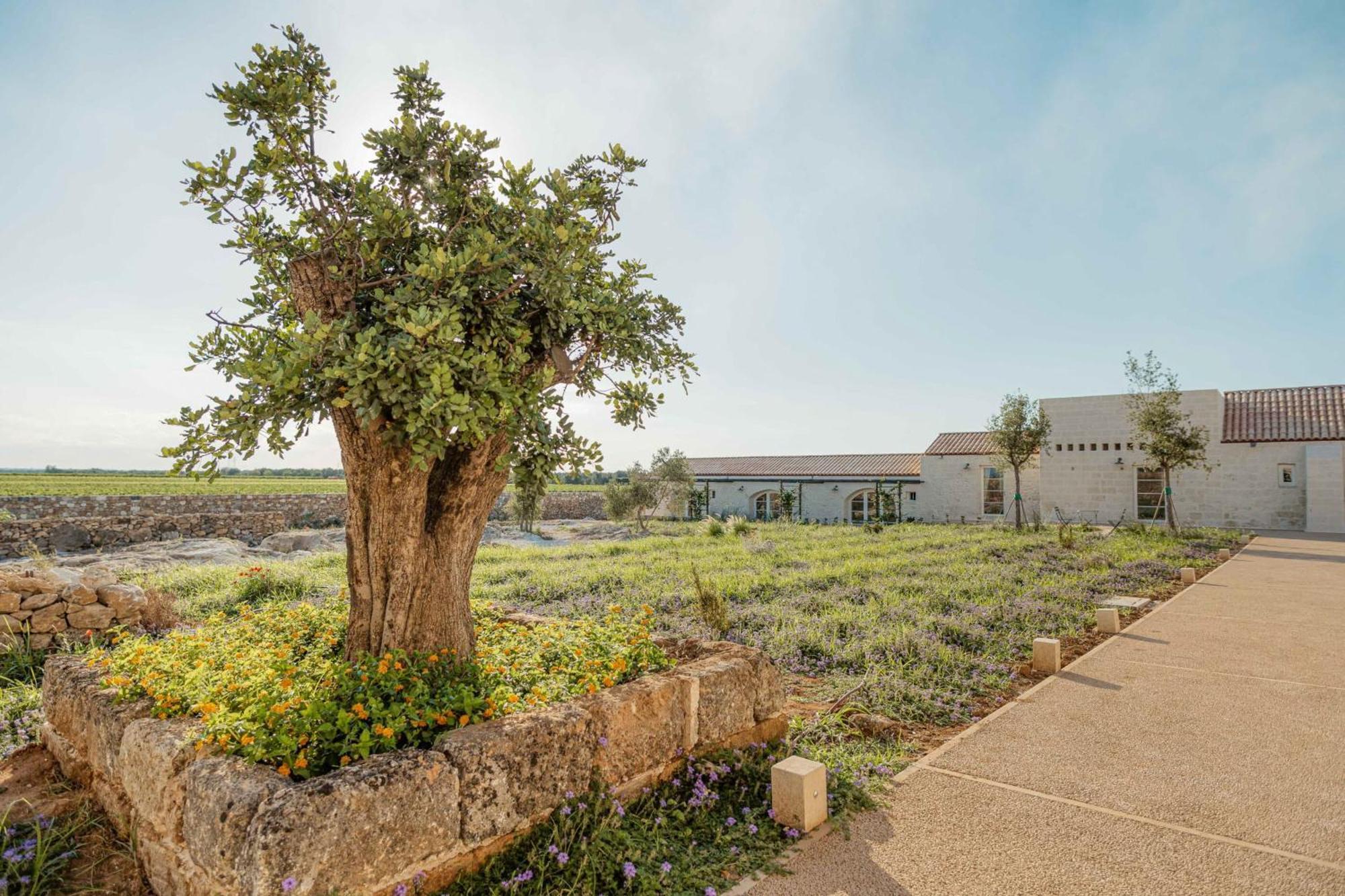 Masseria Vaccaro By Raro Villas - Self Check-In 布林迪西 外观 照片